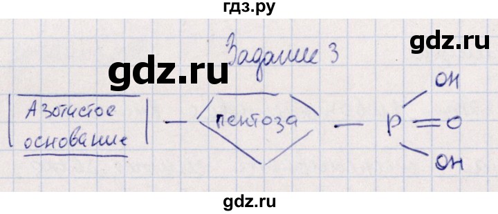 ГДЗ по биологии 10‐11 класс  Сивоглазова рабочая тетрадь Базовый уровень глава 2 / стр. 42 - 3, Решебник