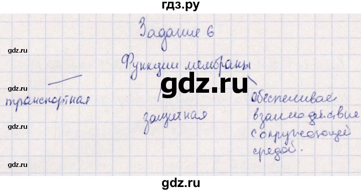 ГДЗ по биологии 10‐11 класс  Сивоглазова рабочая тетрадь Базовый уровень глава 2 / стр. 48 - 6, Решебник
