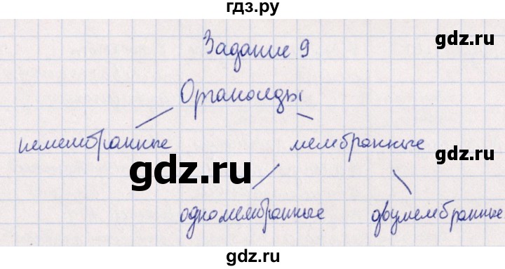 ГДЗ по биологии 10‐11 класс  Сивоглазова рабочая тетрадь Базовый уровень глава 2 / стр. 48 - 9, Решебник