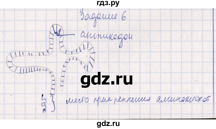ГДЗ по биологии 10‐11 класс  Сивоглазова рабочая тетрадь Базовый уровень глава 2 / стр. 64 - 6, Решебник