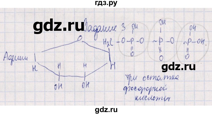 ГДЗ по биологии 10‐11 класс  Сивоглазова рабочая тетрадь Базовый уровень глава 3 / стр. 79 - 3, Решебник