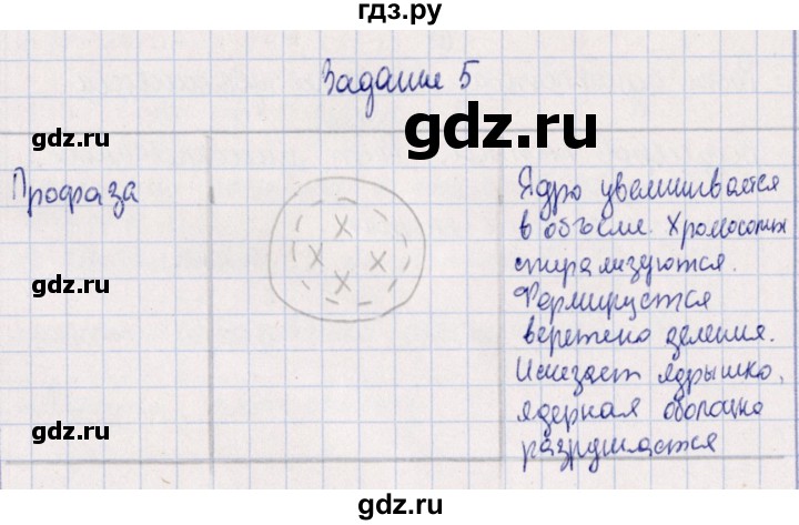 ГДЗ по биологии 10‐11 класс  Сивоглазова рабочая тетрадь Базовый уровень глава 3 / стр. 90 - 5, Решебник
