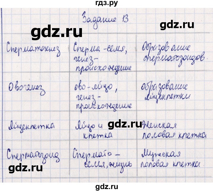 ГДЗ по биологии 10‐11 класс  Сивоглазова рабочая тетрадь Базовый уровень глава 3 / стр. 103 - 13, Решебник