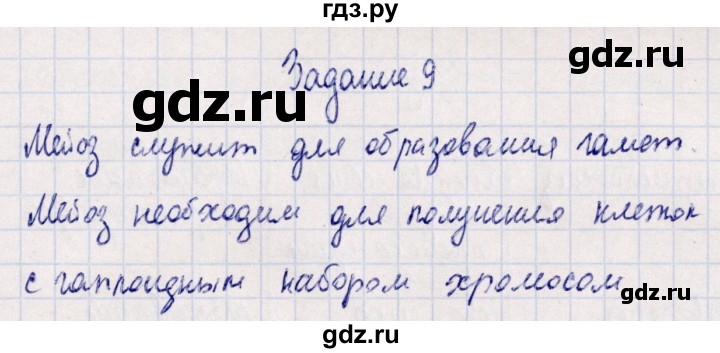 ГДЗ по биологии 10‐11 класс  Сивоглазова рабочая тетрадь Базовый уровень глава 3 / стр. 103 - 9, Решебник
